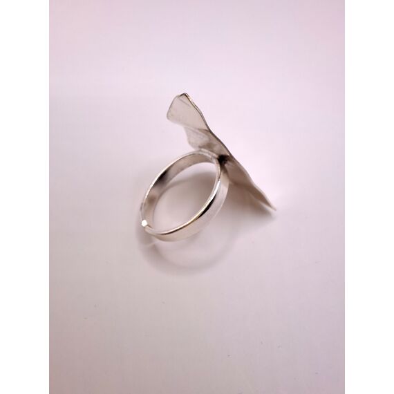 Δαχτυλίδι Ασημί από Ορείχαλκο - ΔΑΧΤΥΛΙΔΙΑ στο daloozjewels.gr